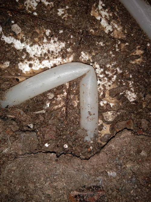 邛崃堵点精准查找